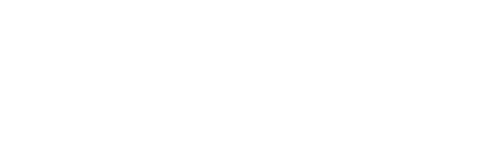 Salahuddin Softtech Solutions